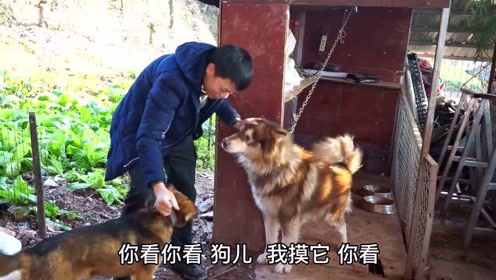 腾讯视频