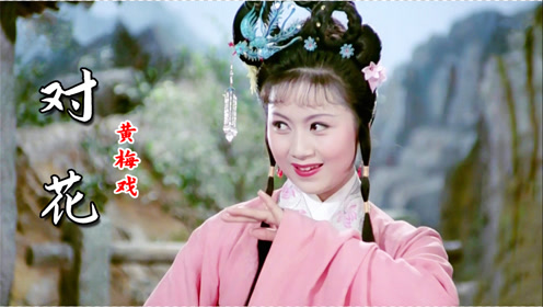 黄梅调经典对唱《对花》,戏腔韵味十足,美妙动听,满满童年回忆