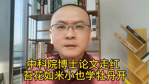 苔花如米小 腾讯视频