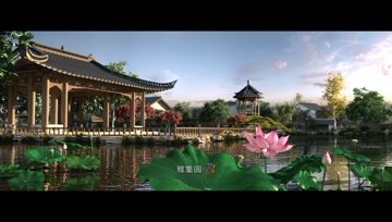 <b>花博会</b>