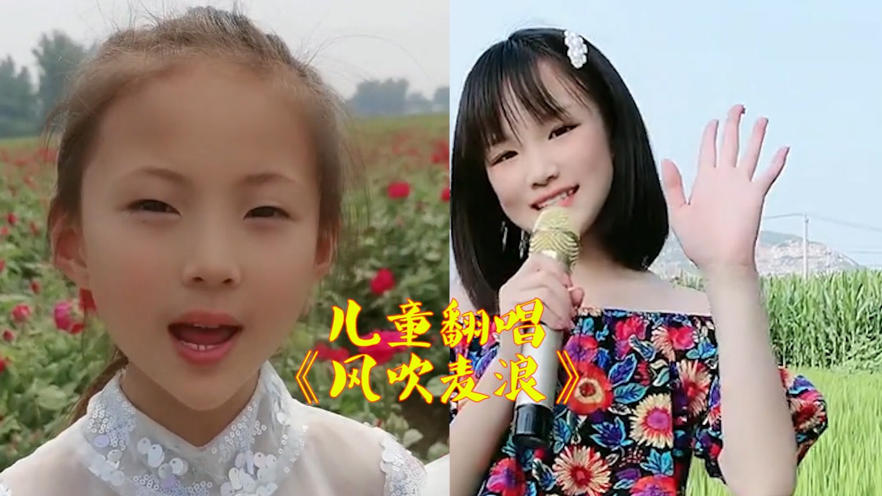 一首《风吹麦浪》,能让你想到什么呢