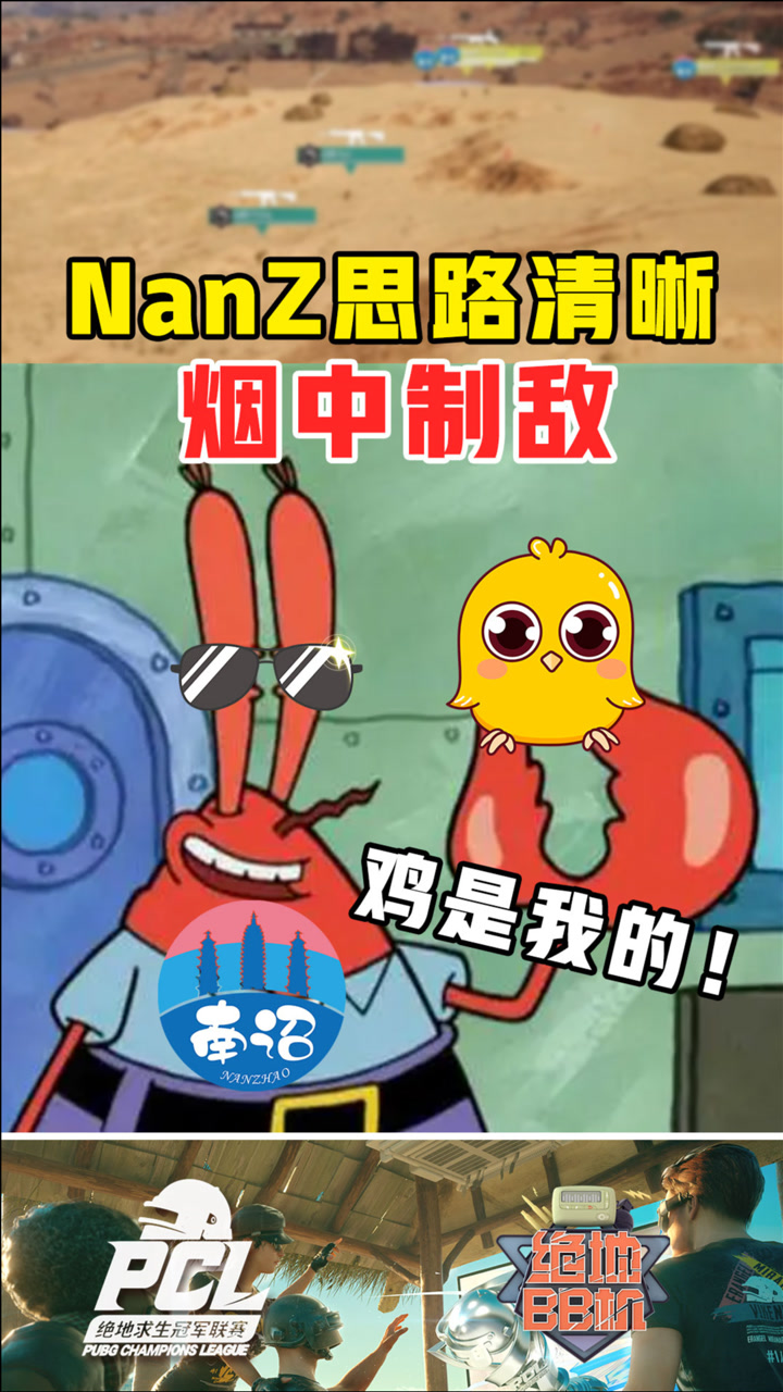 【绝地BB机】NanZ思路清晰烟中制敌