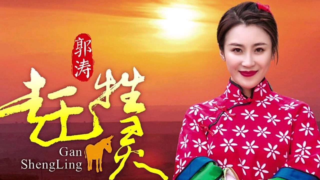 美女歌手郭涛一首陕北民歌《赶牲灵,黄土情歌唱出新韵味