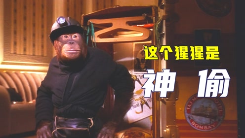 神偷小猩猩,到五星级酒店偷东西,顺便还帮大姐按个摩