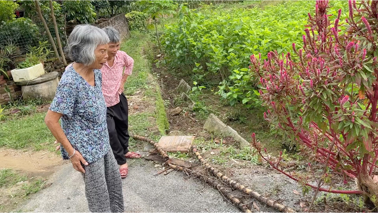 今天在广东农村看到的，出现这种怪象，80岁老奶奶说头一次见