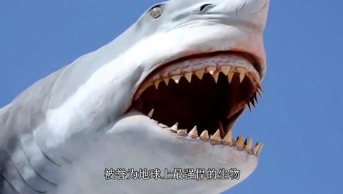 老外花200美元购买了一颗恐龙蛋水刀切开后一看懵了