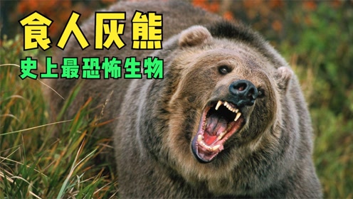 纪录片:恐怖灰熊袭人事件,男子为救女儿直接与熊搏斗展现伟大父爱!