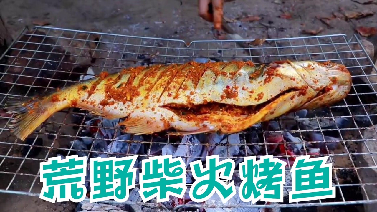怎么烤鱼野外「户外烧烤烤鱼怎么烤」
