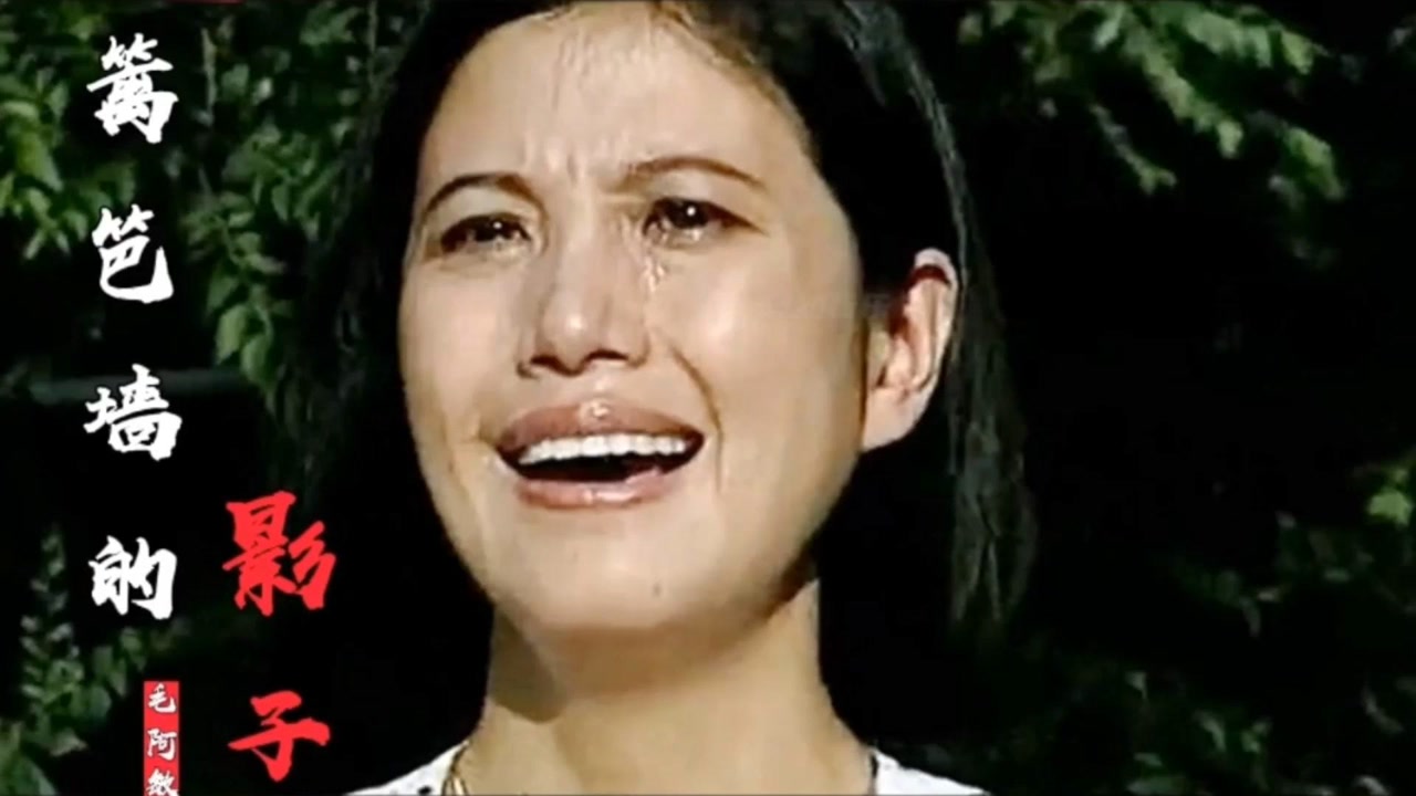 影视原声《篱笆女人和狗》主题曲《篱笆墙的影子》演唱:毛阿敏