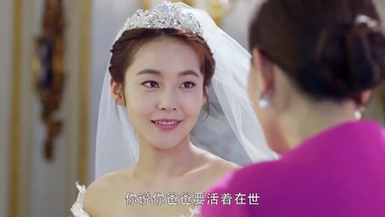 亲爱的设计师:天天终于决定和王野结婚了!