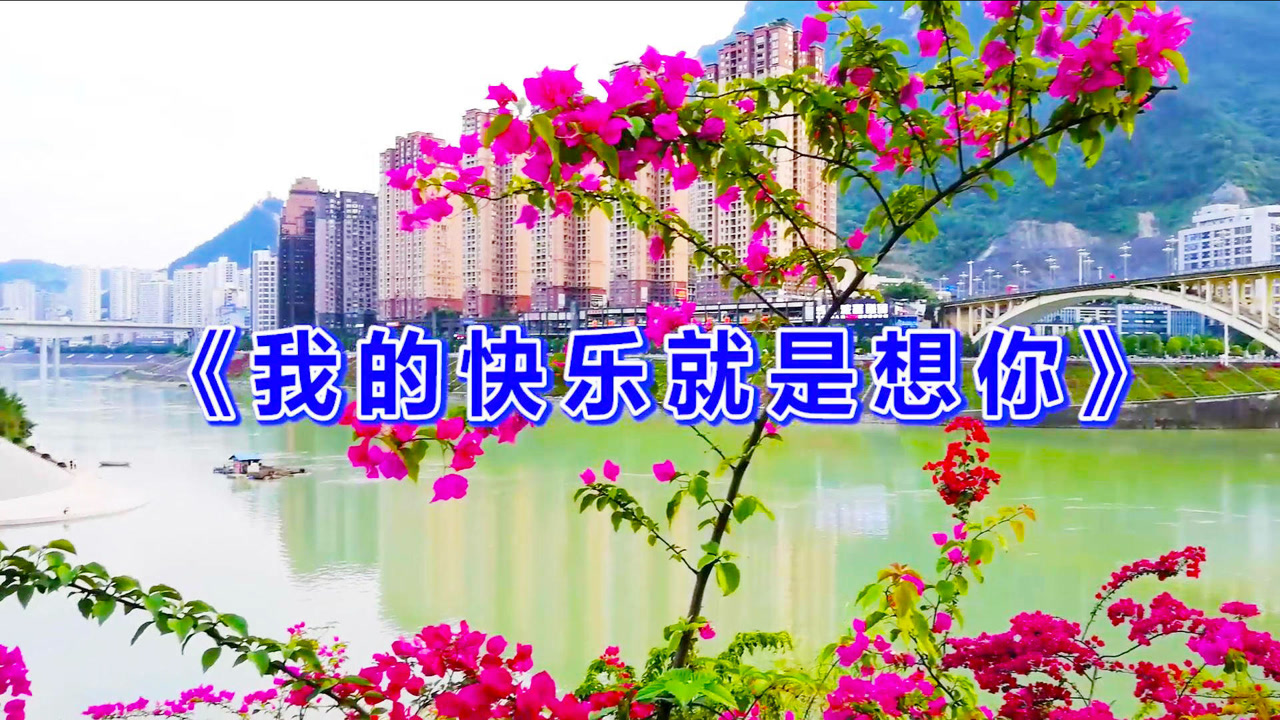 我的快乐就是想你