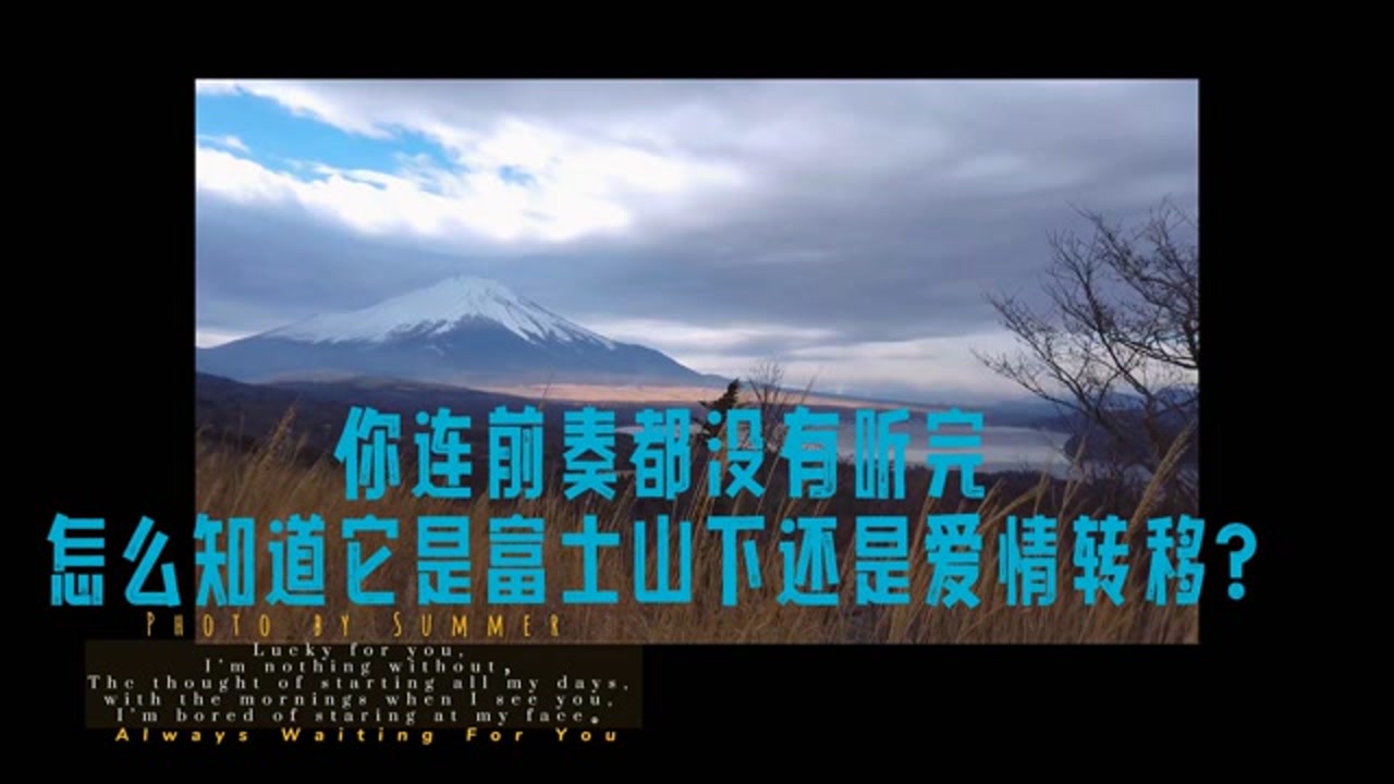 你连前奏都没有听完,怎么知道它是富士山下还是爱情转移?