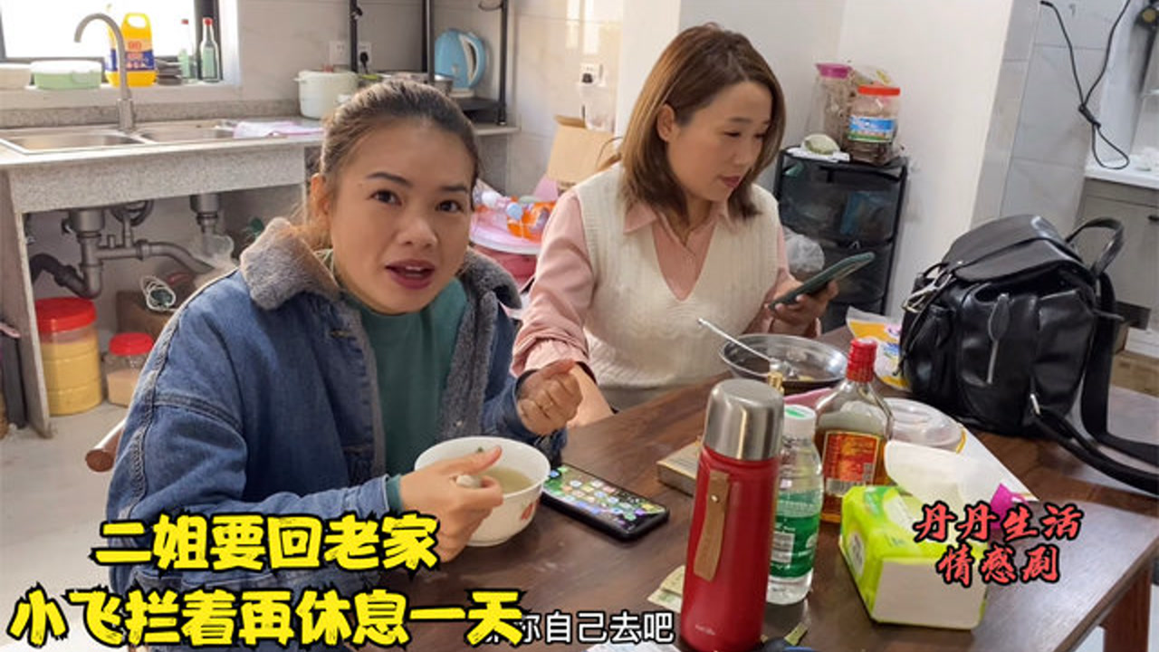 二姐订好车票要回老家,小飞说时间太急玩一天,再买点礼物带回!