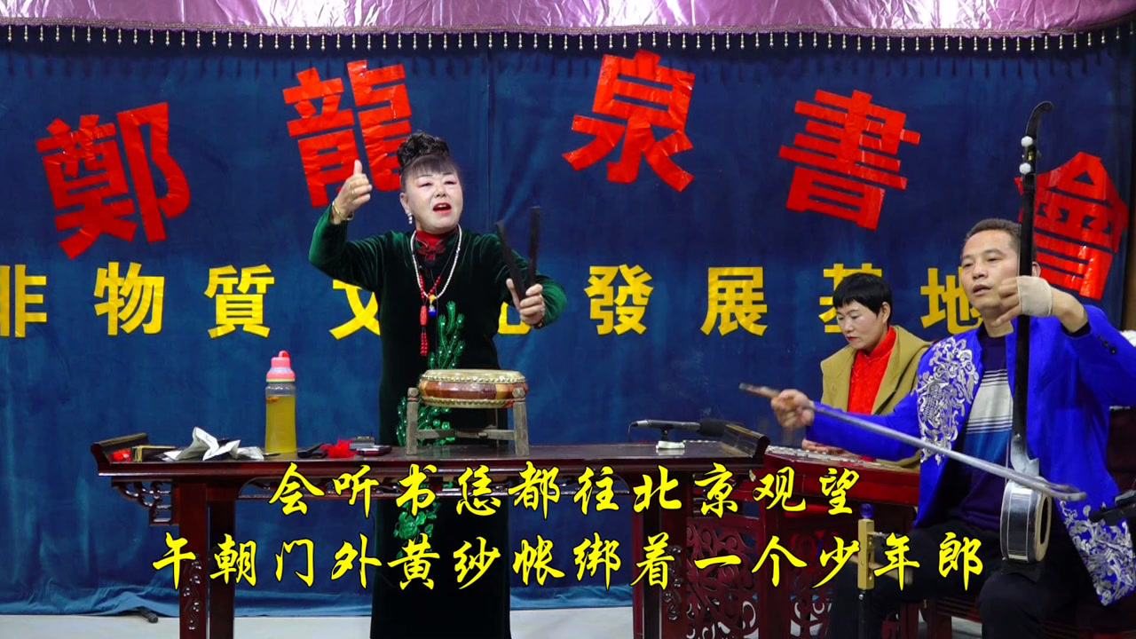 河南坠子《严海斗》,海瑞回乡祭祖,严嵩伙同西宫陷害太子朱琳!