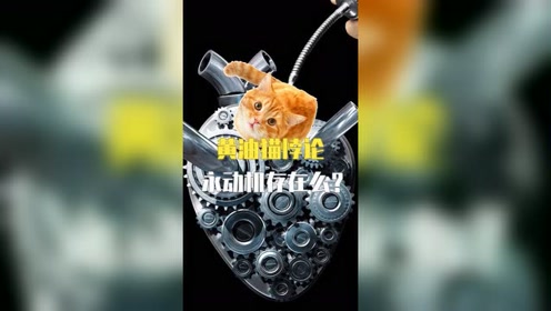颠覆你对世界认识的黄油猫悖论不要再被永动机骗了