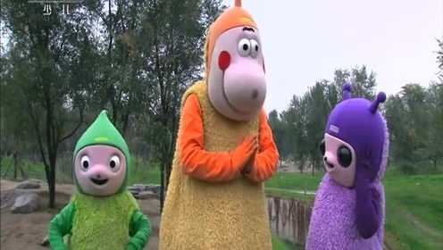 小小智慧树:唱歌跳舞真开心