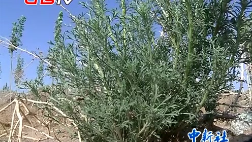 S鸣沙山g 腾讯视频