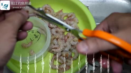 钓鱼教学 簡易腌製蝦仁釣餌 腾讯视频