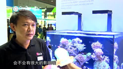 海水鱼 海水缸 腾讯视频