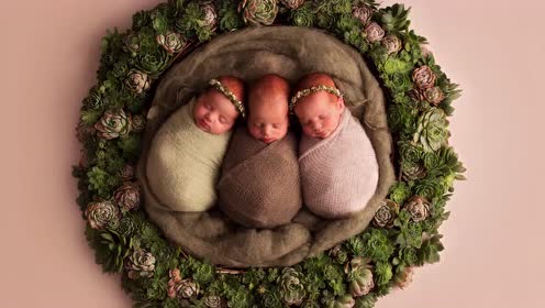 新西兰三胞胎宝宝一出生就走红了,萌化了!