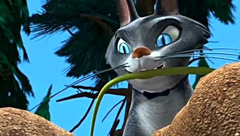 光头强给臭猫取名为肥波,肥波原来是这样来的