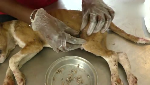 腾讯视频