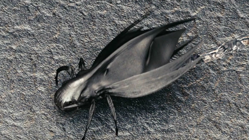 高科技纳米虫见什么吃什么,一个装甲部队瞬间被吃掉