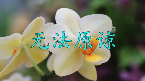 好听到哭泣!这首经典歌曲《无法原谅》,令人流连忘返