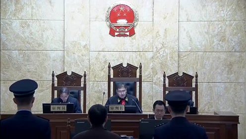 辽源王成忠法官涉嫌民事枉法裁判案二审第一次庭审