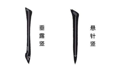 书法入门教学,竖的写法