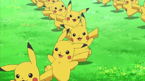 宠物小精灵,走在森林里的小智一行人,发现了一群皮卡丘