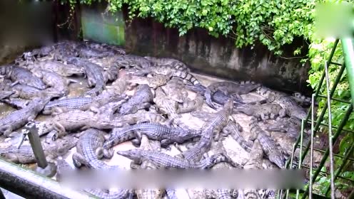 Wetv 中国語シリーズ 韓国シリーズ アニメ その他