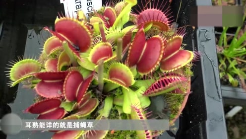 腾讯视频