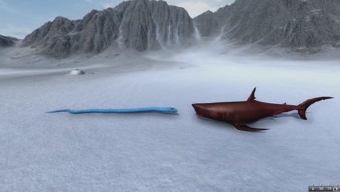 泰坦巨蟒vs巨齿鲨,哪个更强大?