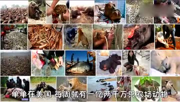 为什么全世界都在选择素食？原来吃素有这么多好处