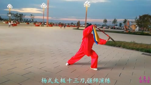 杨式太极十三刀,强师演练