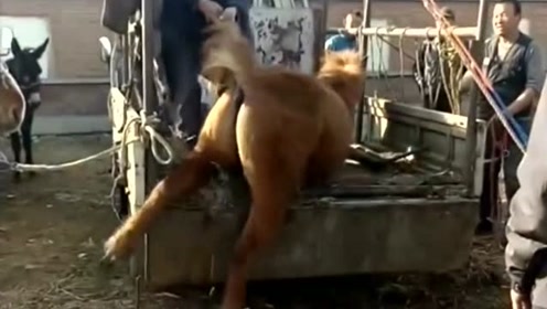 腾讯视频