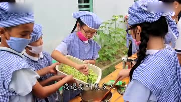 小蔬童的心声：我为什么再也吃不下炸鸡了？