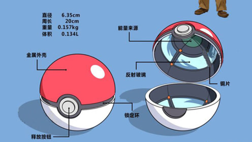 精灵球内部大公开,宝可梦可以不吃不喝!