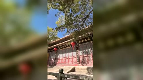 自在修行 腾讯视频