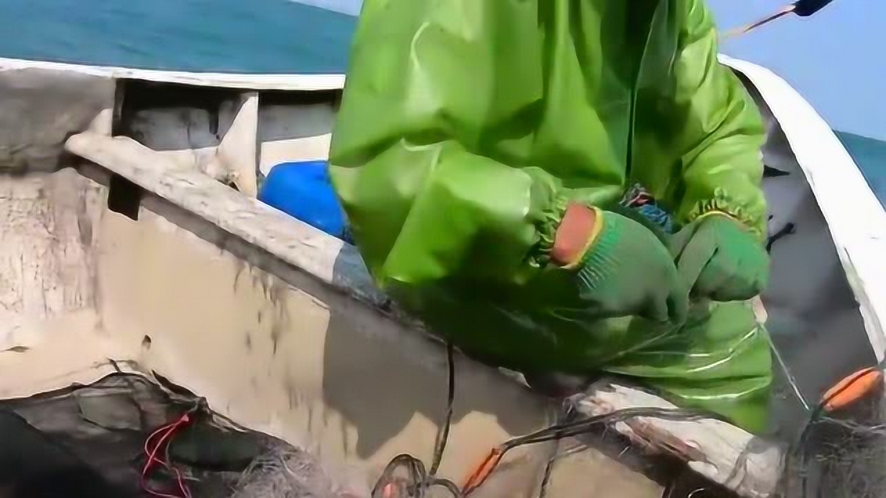 赶海雄哥找到块宝地大丰收,大货接连爆桶抓不完,急忙拉去市场卖掉