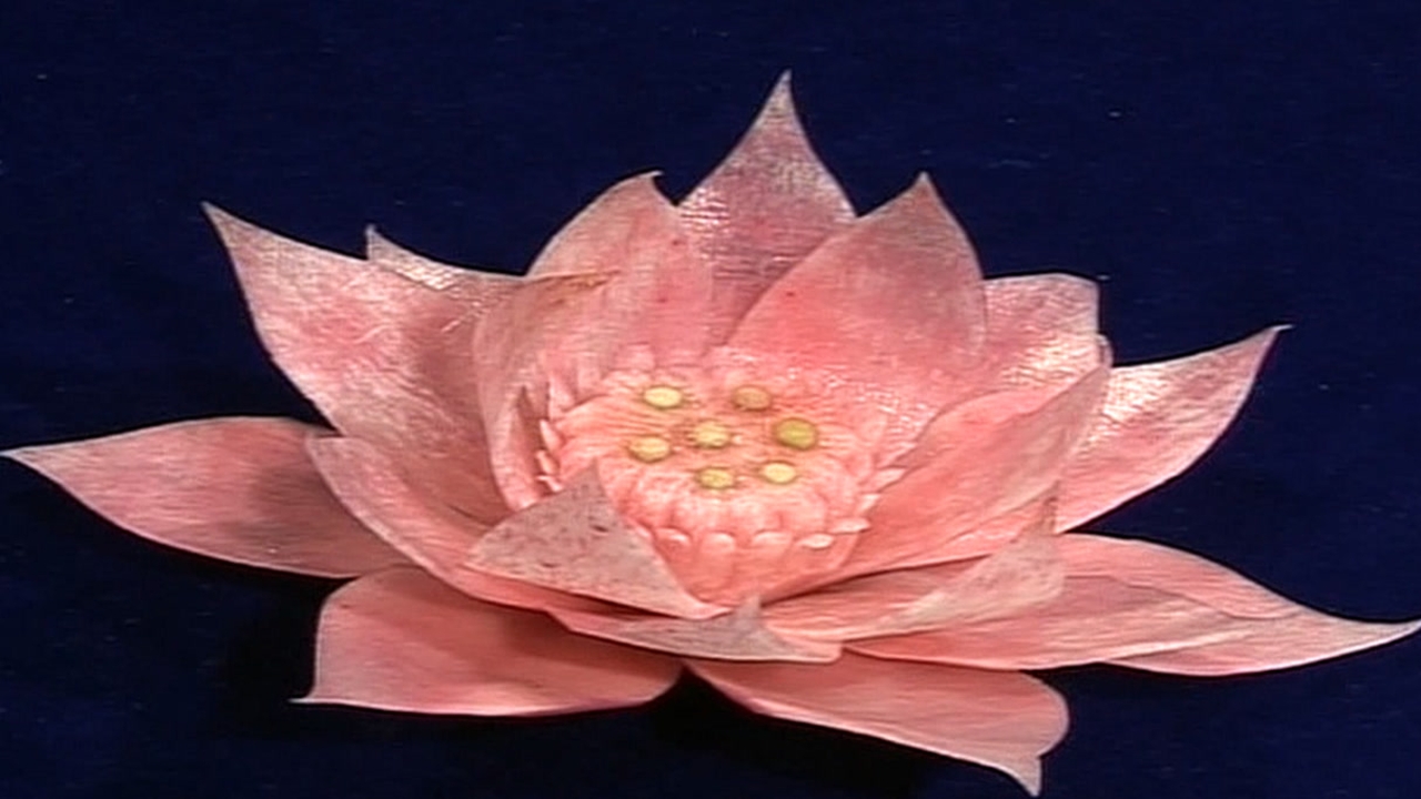 大师把一个红心萝卜雕刻成了一朵荷花,好看生动,喜欢的先收藏吧