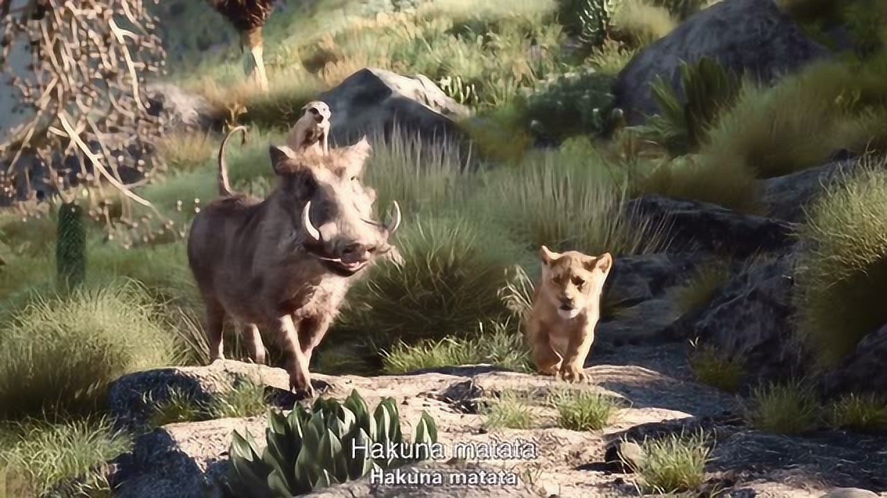 狮子王:欢迎光临寒舍,这就是疣猪的世外桃源