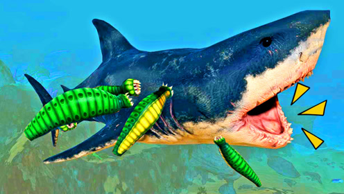 海底大猎杀25:食物链顶端的鲨鱼,做梦也没想到,自己被水蛭吃了