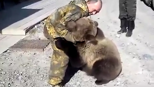 俄罗斯人和熊 腾讯视频