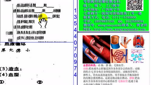 12第三讲人体的新陈代谢视频01 1中考理科捷径生物家教 腾讯视频
