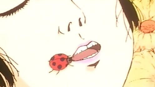 广丸 腾讯视频