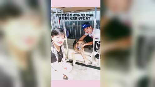 松本紀保 腾讯视频