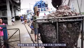 不吃海鲜的理由