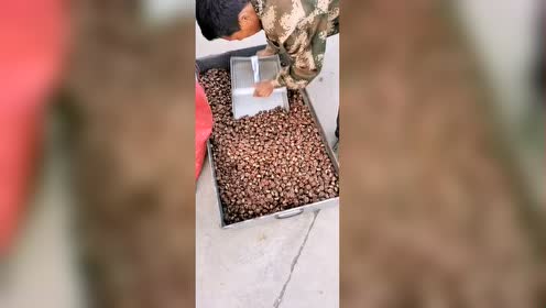 迁西诚信栗业 腾讯视频
